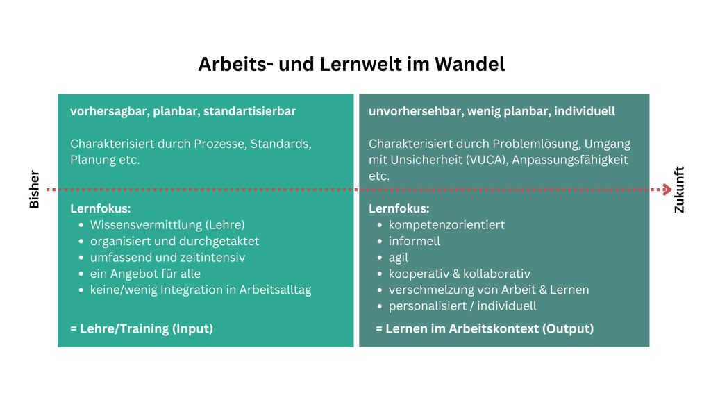 Praxisorientierte Kompetenzentwicklung Abbildung1_Arbeits- und Lernwelt